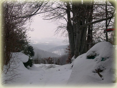 Htel Beau Rivage - La Roche-en-Ardenne